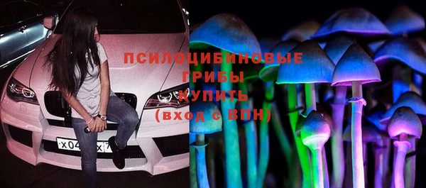 спайс Богородицк