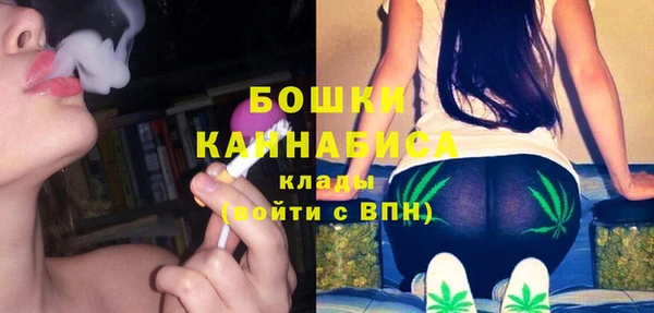спайс Богородицк