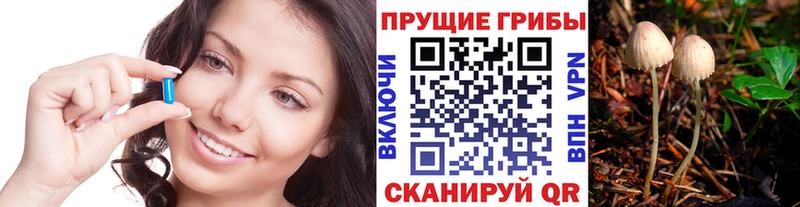 Псилоцибиновые грибы Psilocybine cubensis  продажа наркотиков  Дятьково 